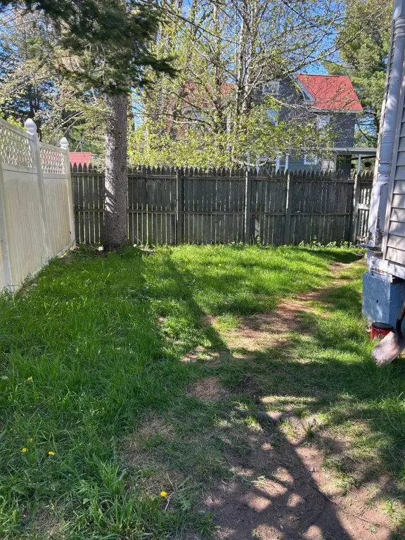 Picture 3