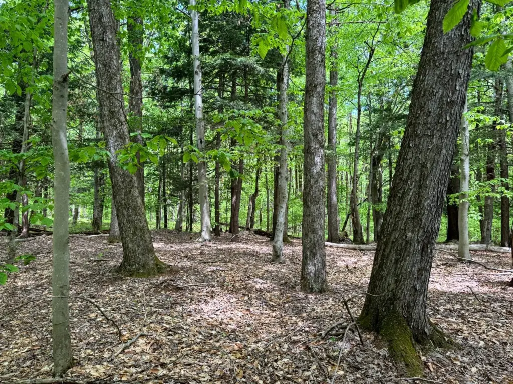 Picture 19