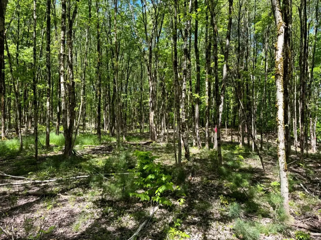 Picture 16