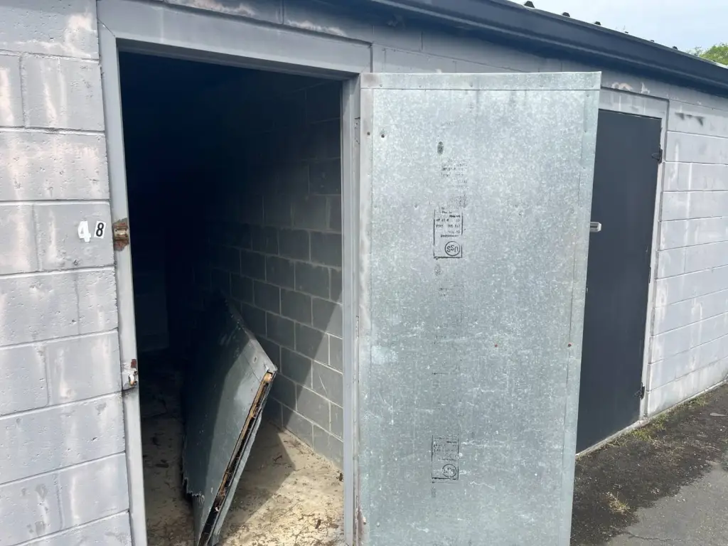 Picture 5