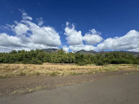Lahaina Vacant Agricultural Land Parcel