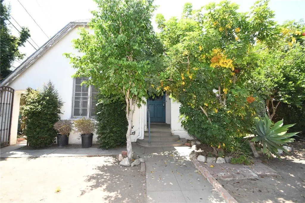 Picture 11