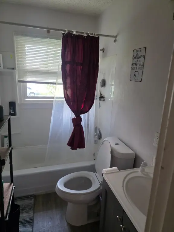 Picture 6