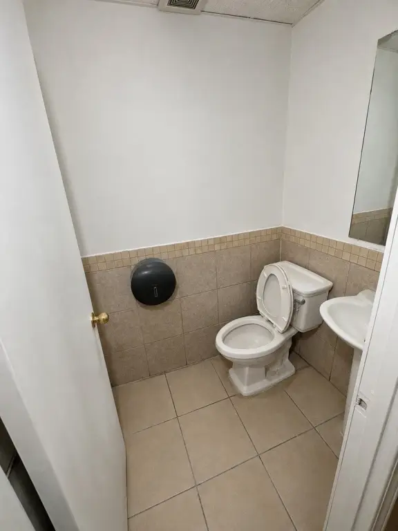 Picture 7