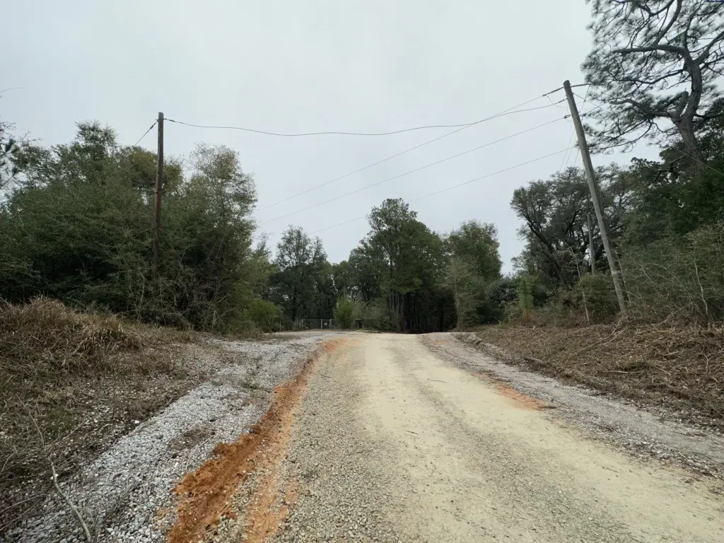 Picture 2