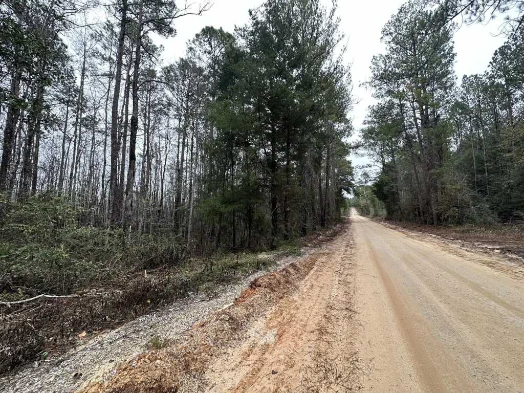 Picture 6