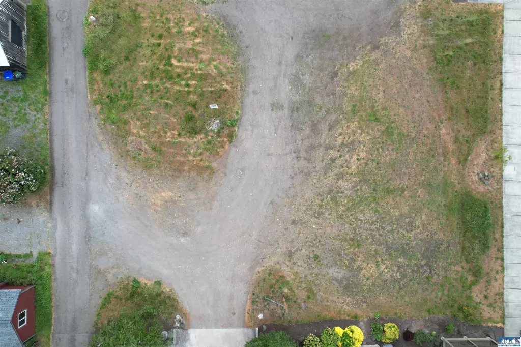Picture 8