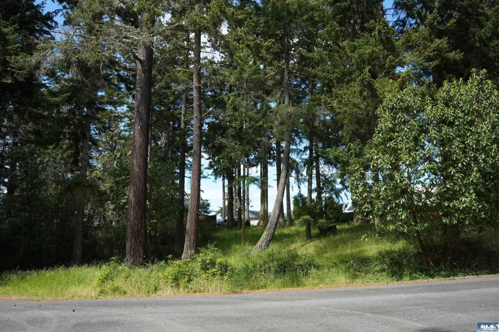 Picture 19