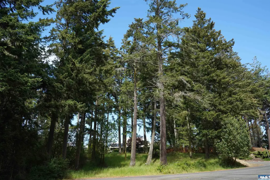 Picture 18