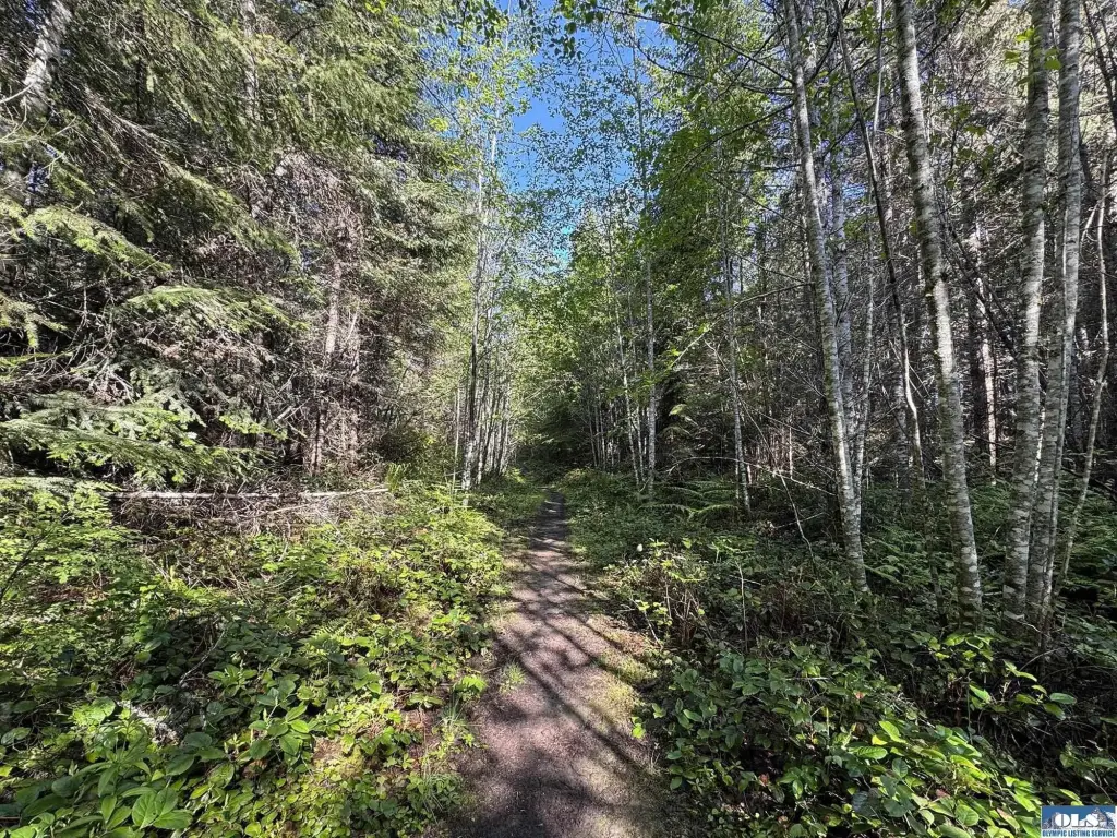 Picture 28