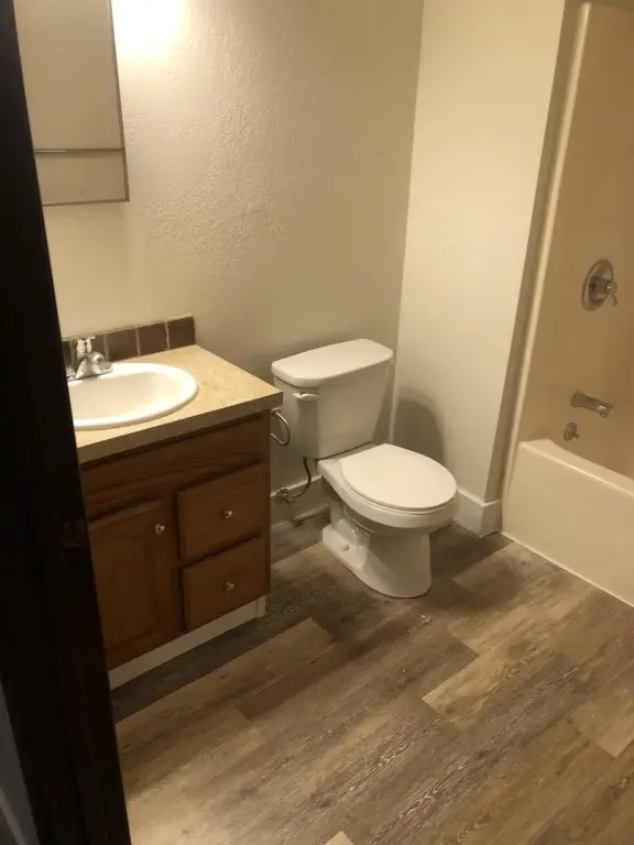 Picture 5
