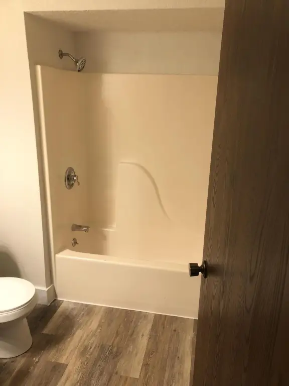 Picture 6