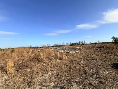 Cleared Land in Salley, SC
