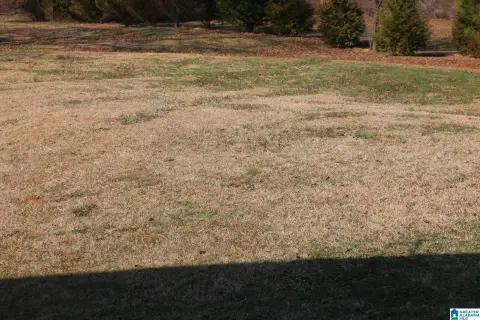 Cleared Lot Ready to Build