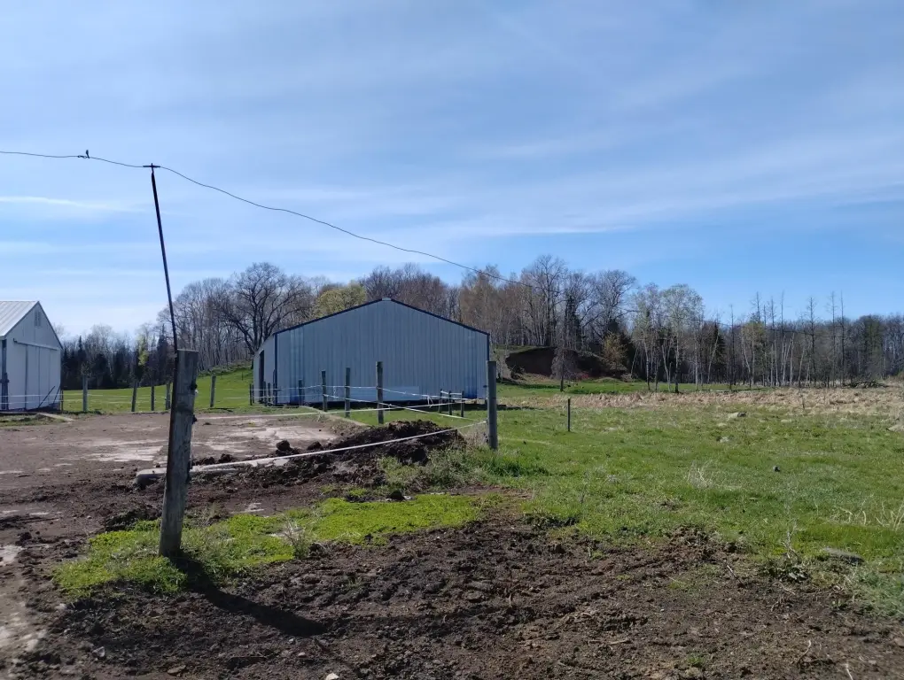 Picture 47