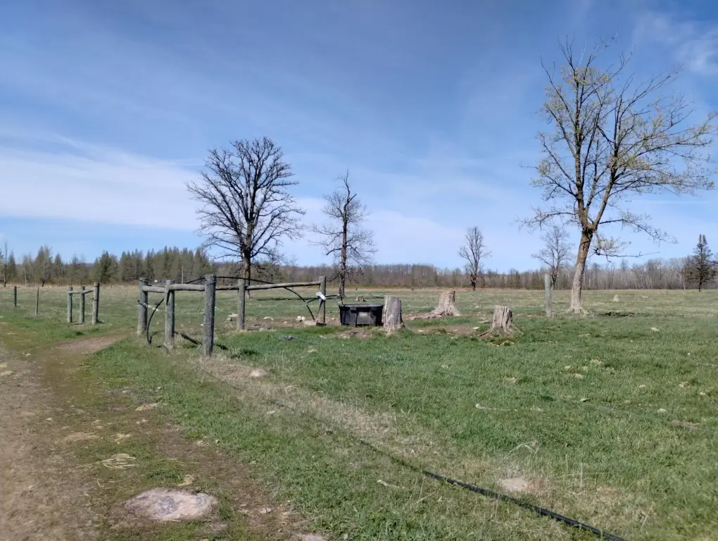 Picture 20