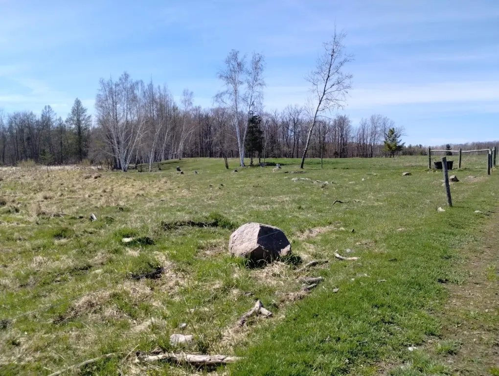 Picture 46