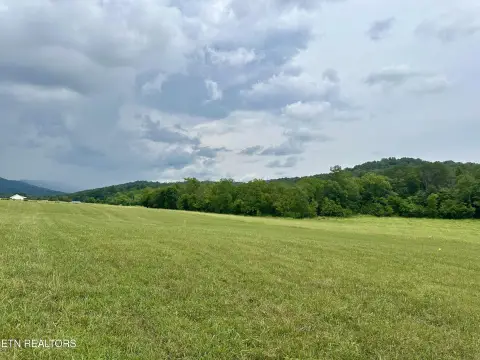 Blaine, TN Land For Sale