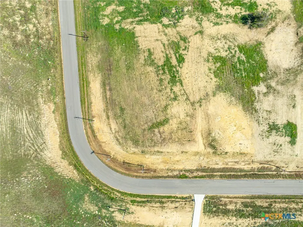 Picture 23