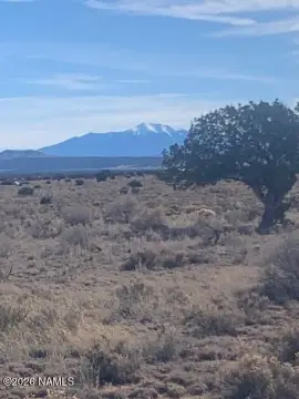 Land Parcel in Williams, Arizona