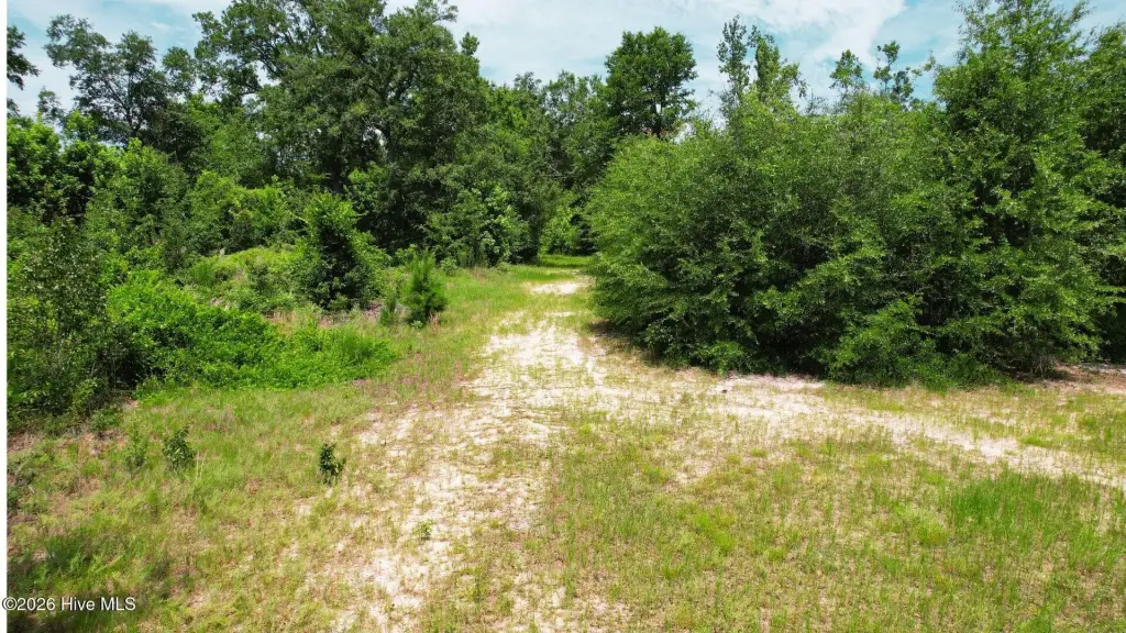 Picture 23