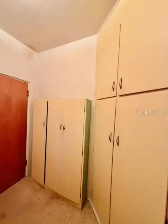 Picture 29
