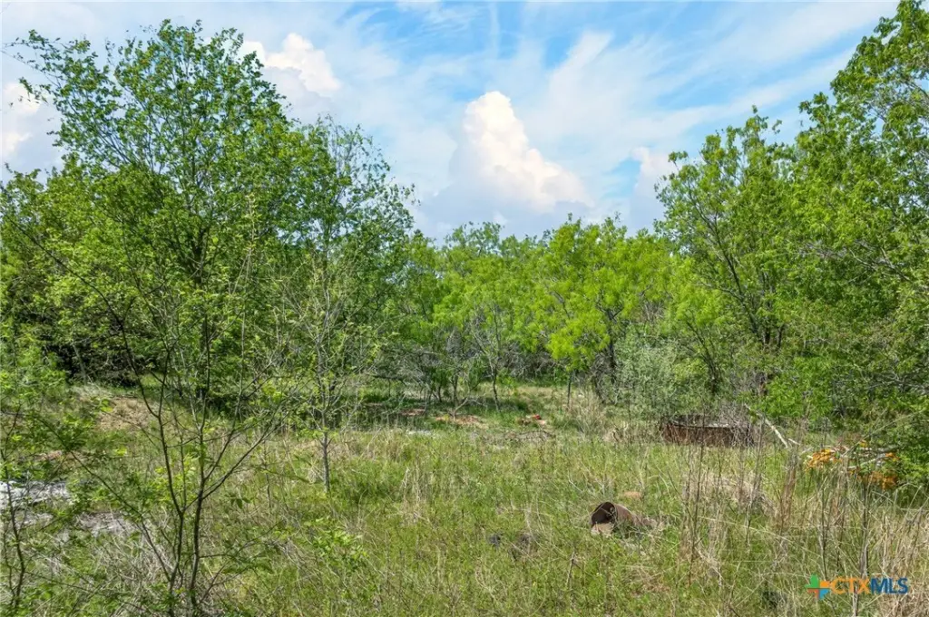 Picture 26