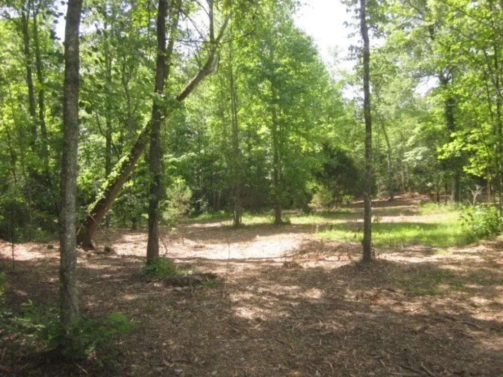 Picture 41