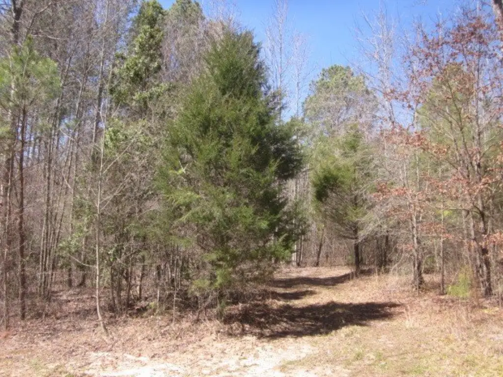 Picture 14