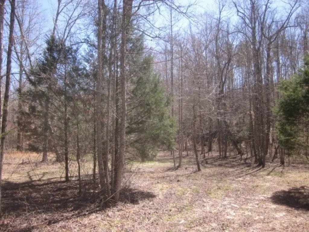 Picture 13