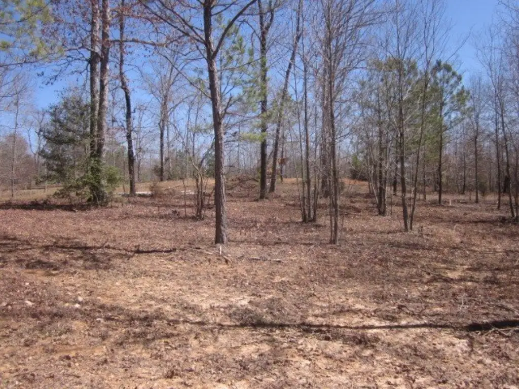 Picture 15