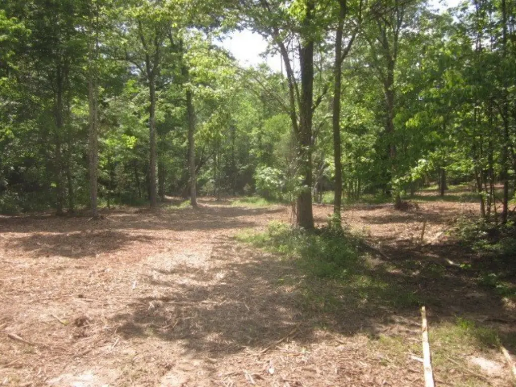 Picture 18