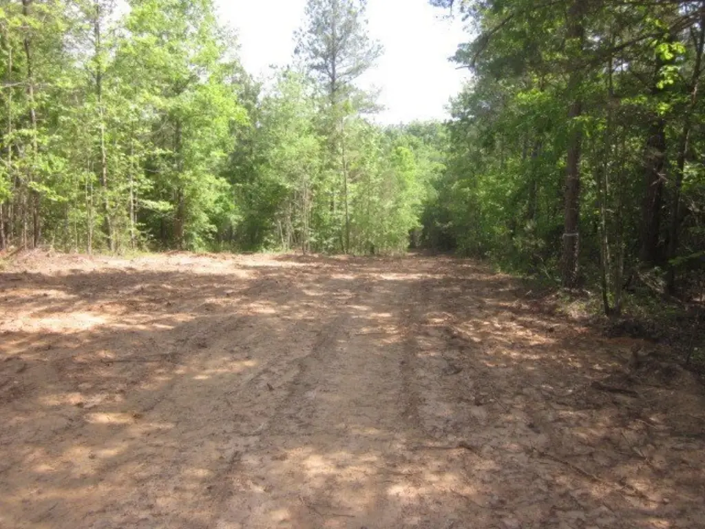 Picture 6