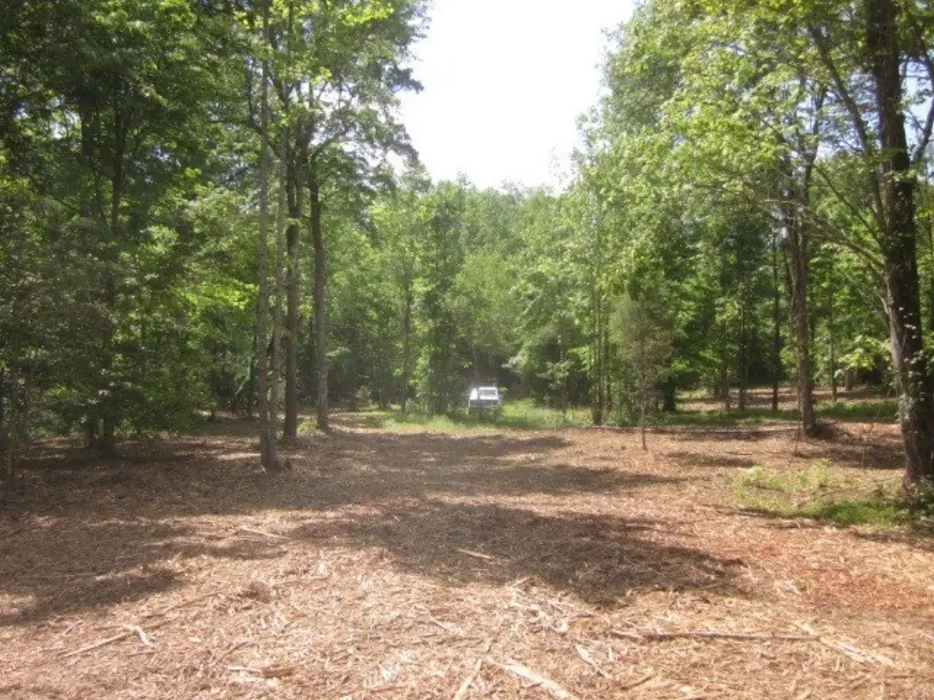 Picture 16