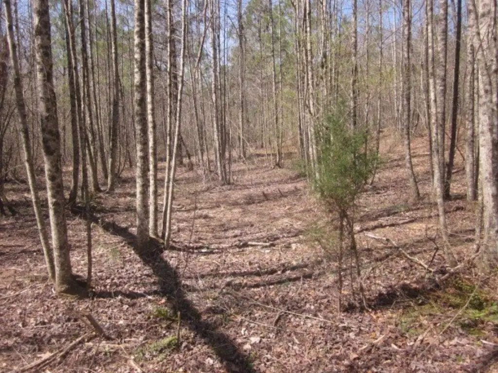 Picture 43
