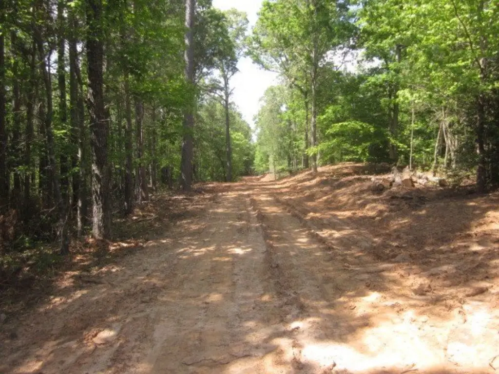 Picture 4