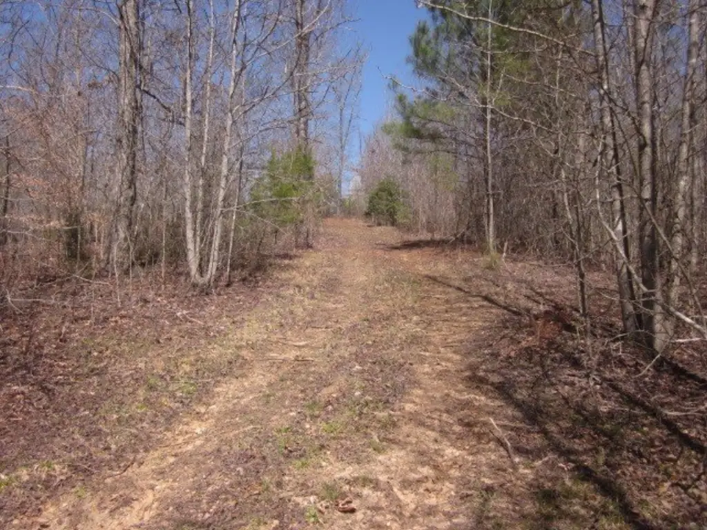 Picture 44