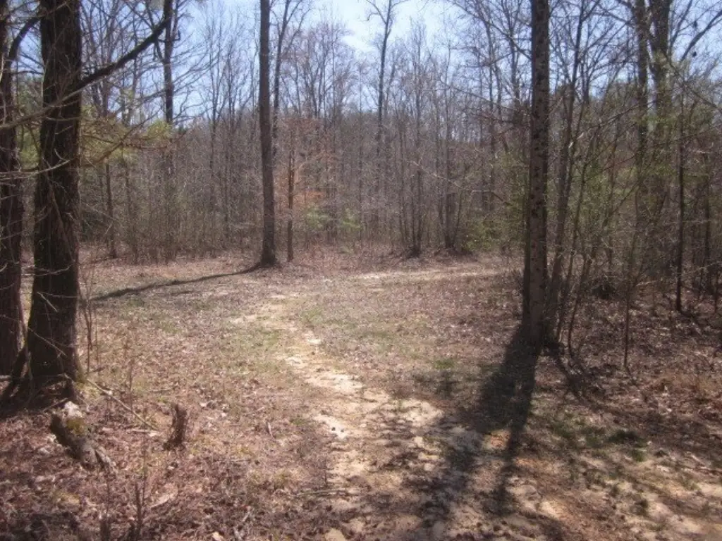 Picture 24