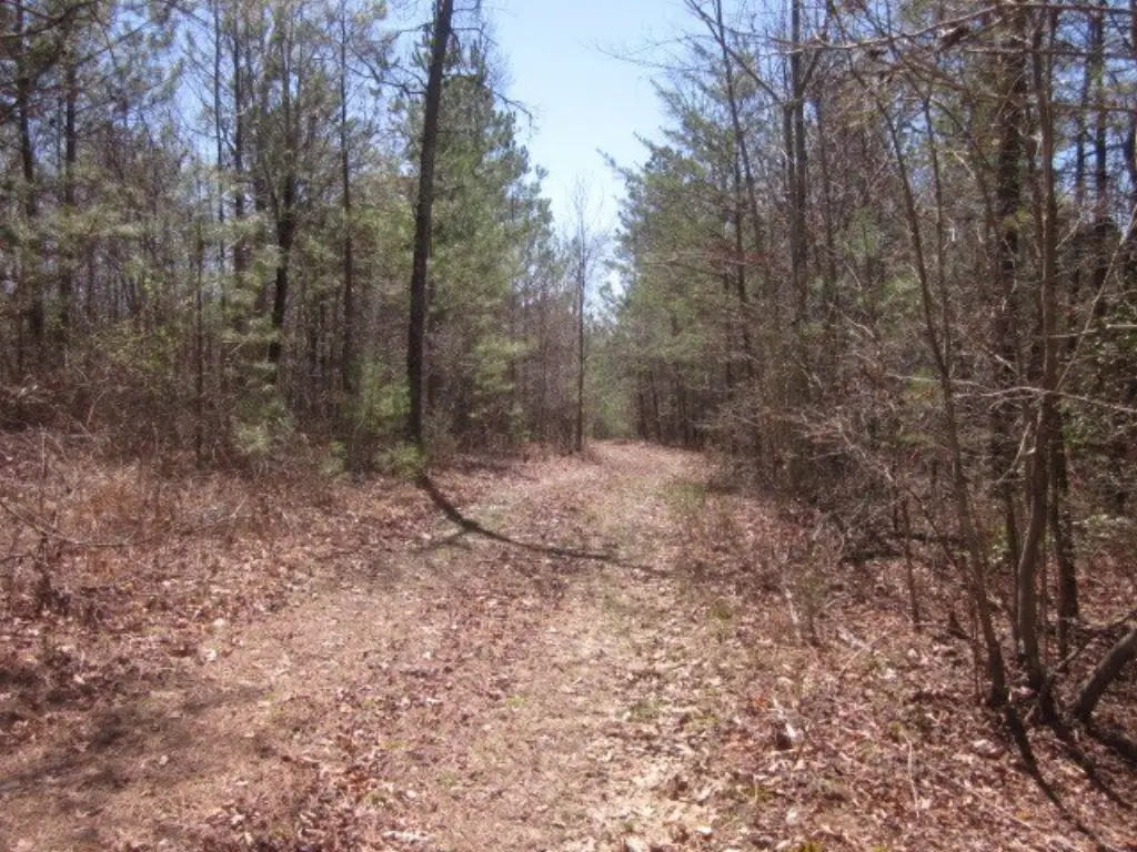 Picture 7