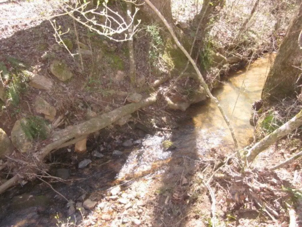 Picture 42