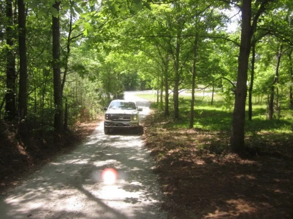 Picture 2
