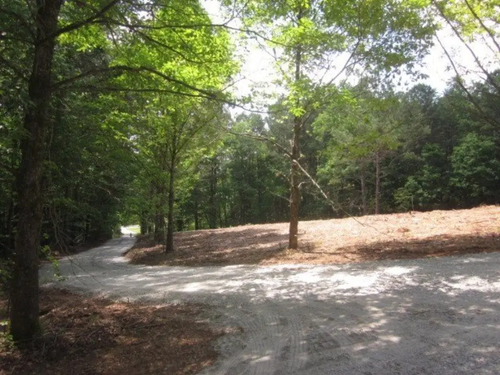 Picture 11