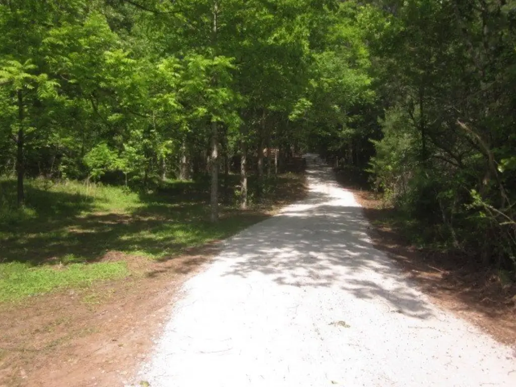 Picture 20