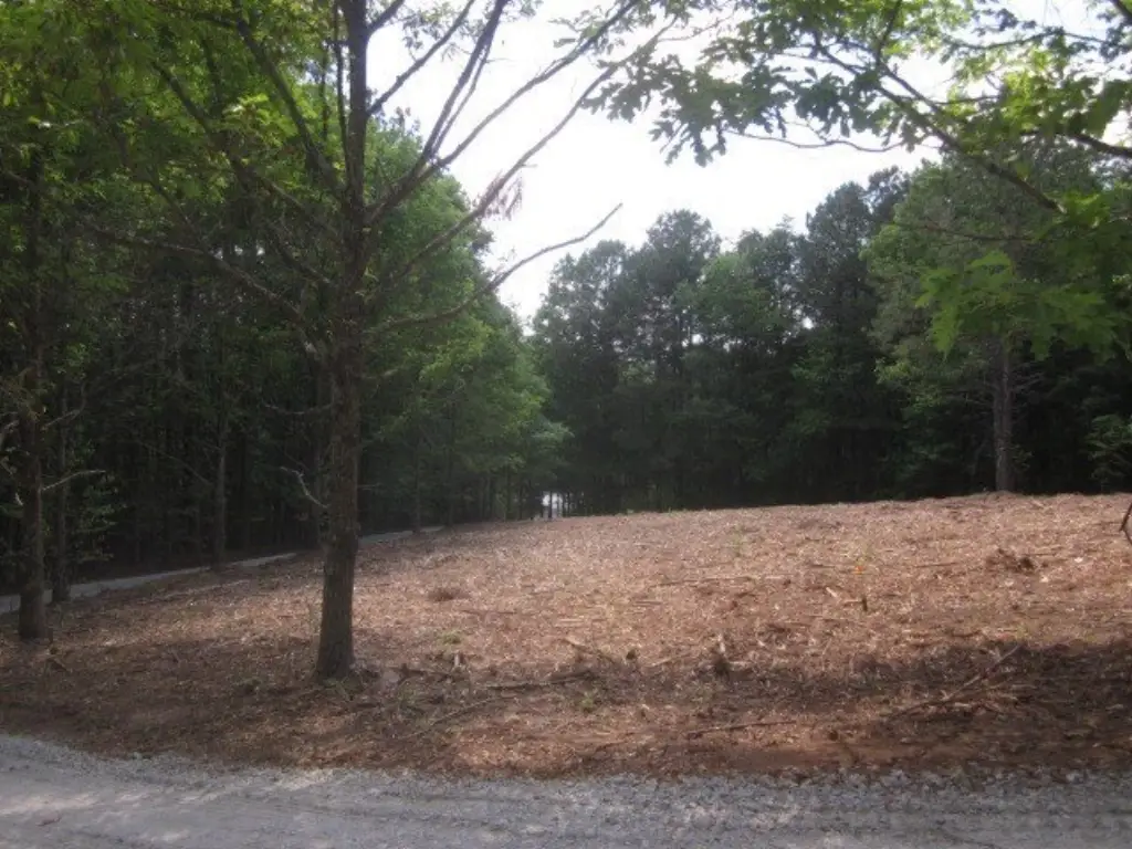 Picture 13