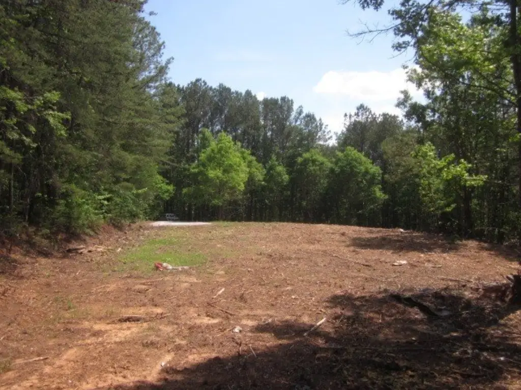 Picture 15