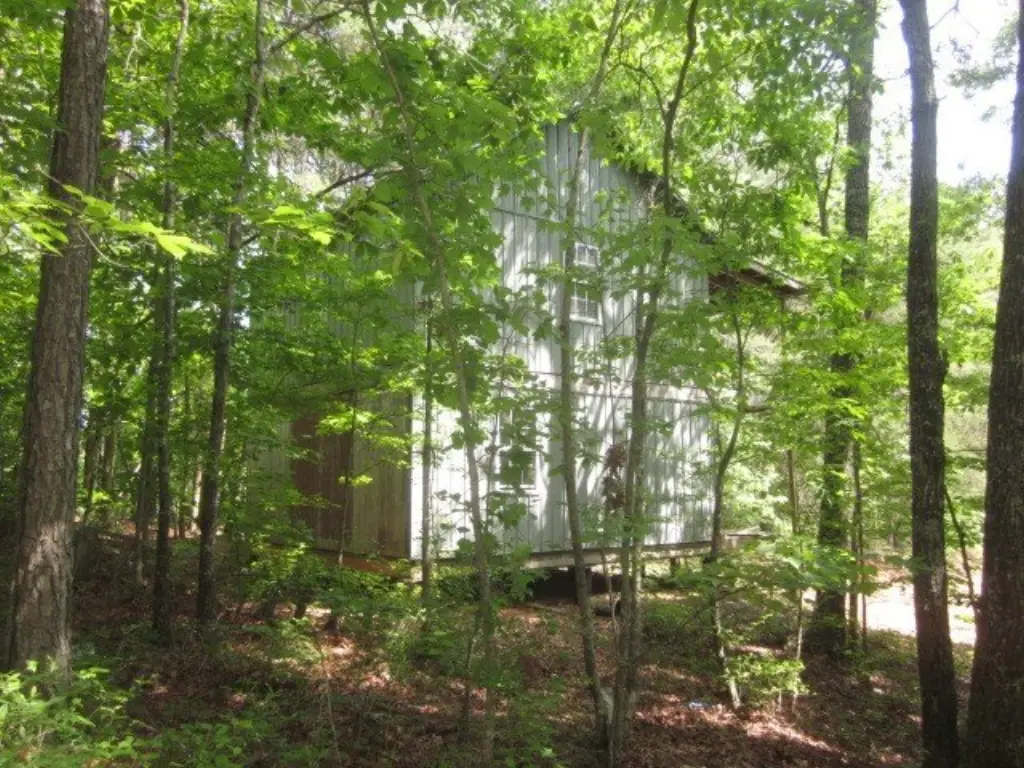 Picture 17
