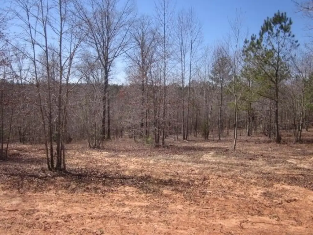 Picture 21