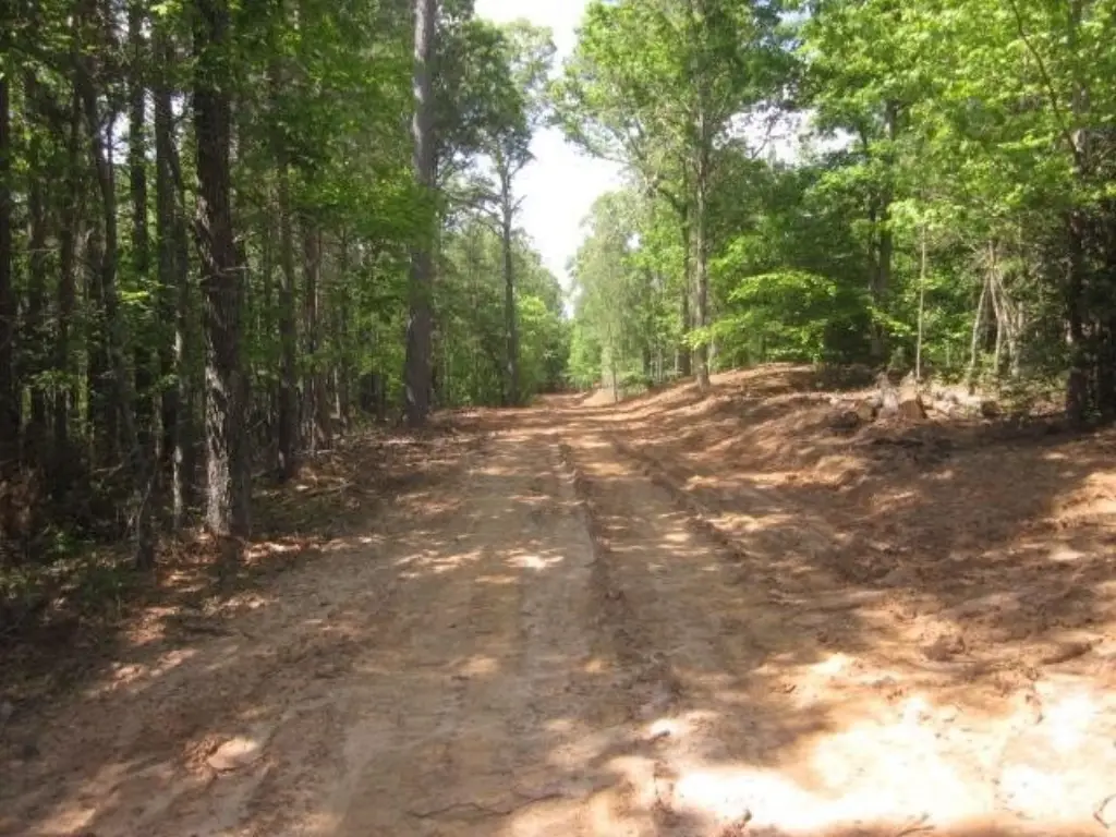 Picture 40
