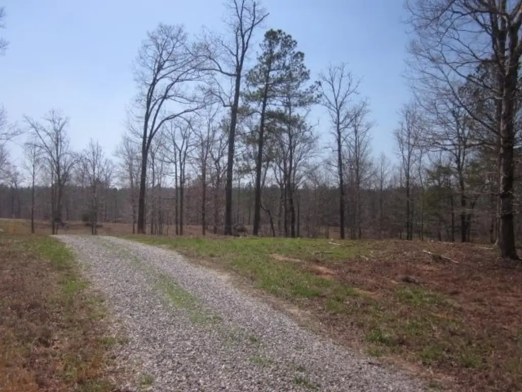 Picture 37