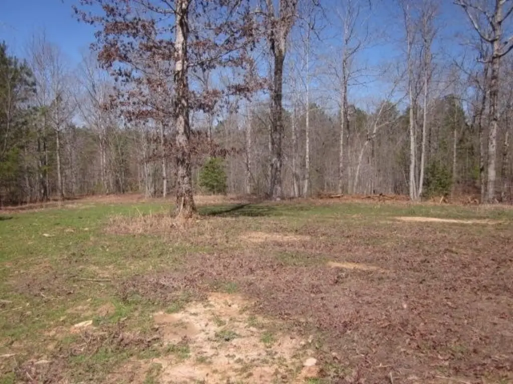 Picture 28